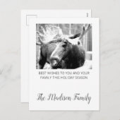 Moose In Winter Snow Christmas Greeting Feestdagenkaart (Voorkant / Achterkant)