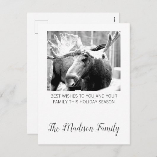 Moose In Winter Snow Christmas Greeting Feestdagenkaart (Voorkant / Achterkant)