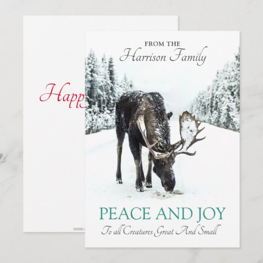Moose in Winter Snow-kerstfeest Feestdagenkaart (Voorkant / Achterkant)