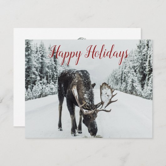 Moose in Winter Snow-kerstfeestkaart Feestdagenkaart (Voorkant / Achterkant)