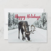Moose in Winter Snow Wilderness Guide Holiday Card Feestdagenkaart (Voorkant)