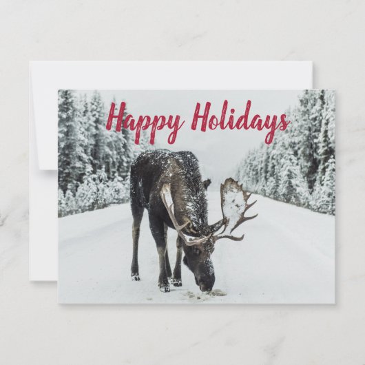 Moose in Winter Snow Wilderness Guide Holiday Card Feestdagenkaart (Voorkant)