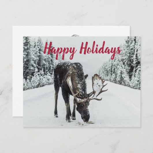 Moose in Winter Snow Wilderness Guide Holiday Card Feestdagenkaart (Voorkant / Achterkant)