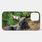 Moose iPhone 12 Hoesje (Achterkant (horizontaal))