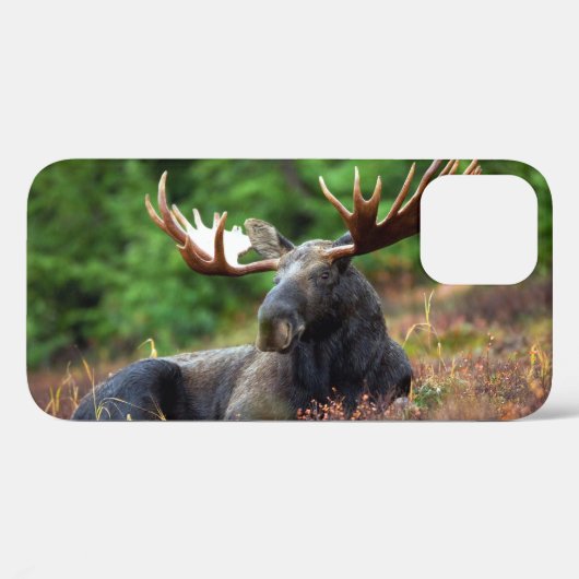 Moose iPhone 12 Hoesje (Achterkant (horizontaal))