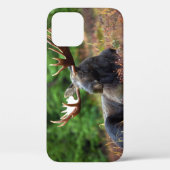 Moose iPhone 12 Hoesje (Achterkant)