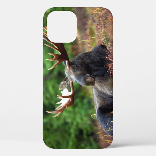 Moose iPhone 12 Hoesje (Achterkant)