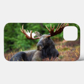 Moose iPhone 13 Hoesje (Achterkant (horizontaal))