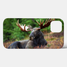 Moose iPhone 13 Hoesje