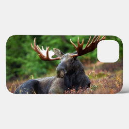 Moose iPhone 13 Hoesje