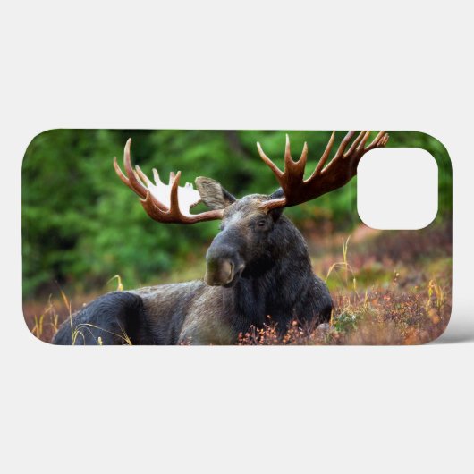 Moose iPhone 13 Hoesje (Achterkant (horizontaal))