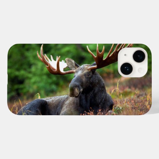 Moose iPhone 14 Hoesje (Achterkant (horizontaal))