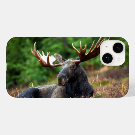 Moose iPhone 14 Hoesje (Achterkant (horizontaal))