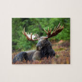 Moose Jigzaag Puzzle Legpuzzel (Horizontaal)
