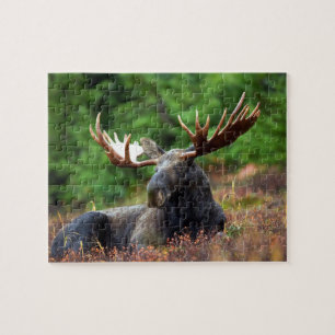 Moose Jigzaag Puzzle Legpuzzel