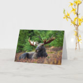 Moose Kaart (Gele Bloem)