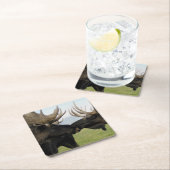 Moose Kartonnen Onderzetters (Insitu)