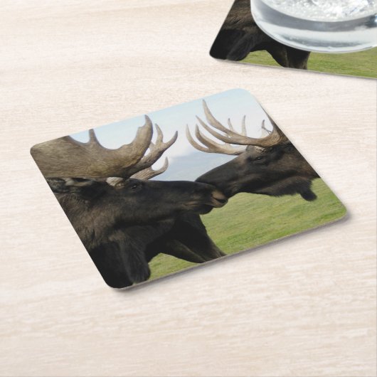 Moose Kartonnen Onderzetters (Schuin)