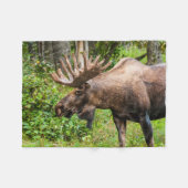 Moose | Keniaans schiereiland, Alaska Fleece Deken (Voorkant (Horizontaal))