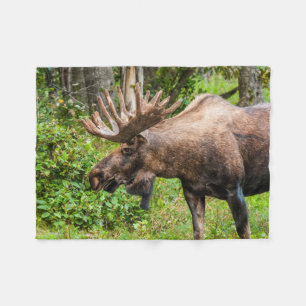 Moose   Keniaans schiereiland, Alaska Fleece Deken