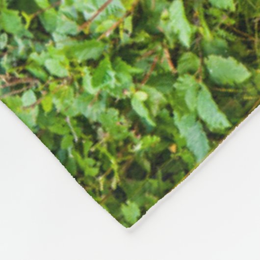 Moose | Keniaans schiereiland, Alaska Fleece Deken (Hoek)