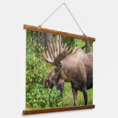 Moose | Keniaans schiereiland, Alaska Hangend Wandkleed (Gebogen)