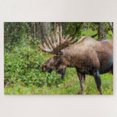 Moose | Keniaans schiereiland, Alaska Legpuzzel (Horizontaal)