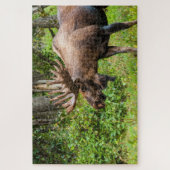 Moose | Keniaans schiereiland, Alaska Legpuzzel (Verticaal)