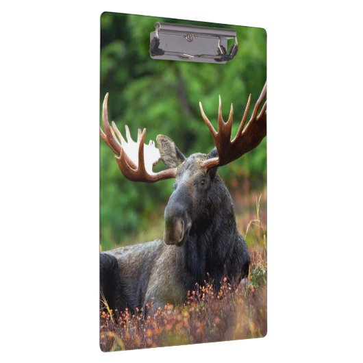 Moose Klembord (Rechts)