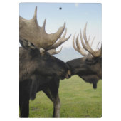 Moose Klembord (Achterkant)