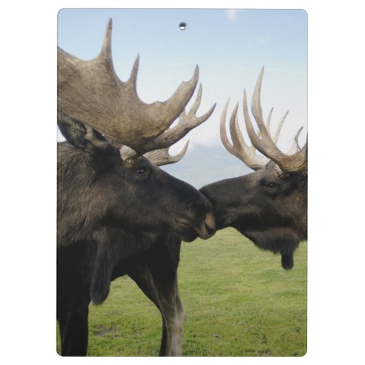 Moose Klembord (Achterkant)