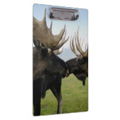 Moose Klembord (Rechts)