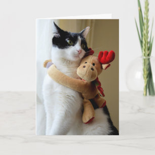 Moose knuffelen kitty kat kerst Wenskaart Feestdagen Kaart