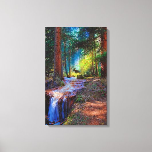 Moose kruising hoge bergstroom canvas afdruk (Voorkant)