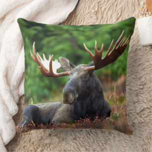 Moose Kussen