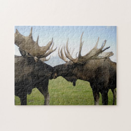 Moose Legpuzzel (Horizontaal)