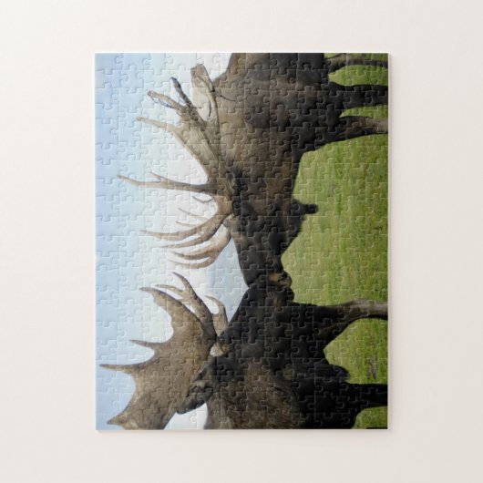 Moose Legpuzzel (Verticaal)