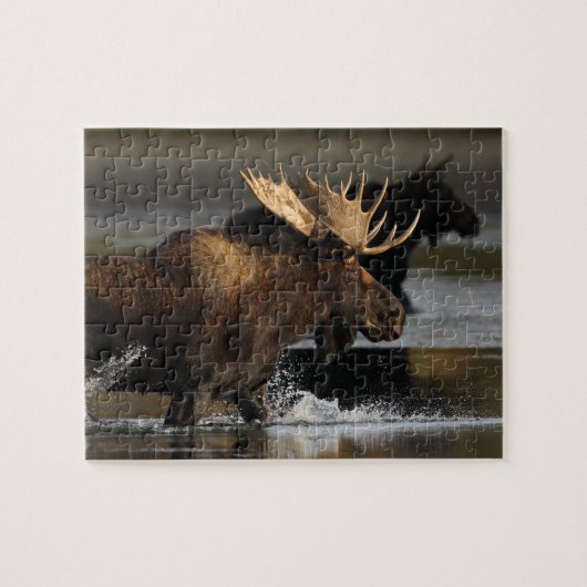 Moose Legpuzzel (Horizontaal)