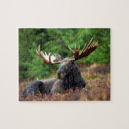 Moose Legpuzzel (Horizontaal)