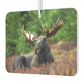 Moose Luchtverfrisser (Links)