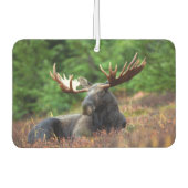 Moose Luchtverfrisser (Voorkant)