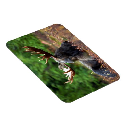 Moose Magneet (Rechterzijde)