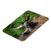 Moose Magneet (Linkerzijde)