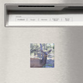 Moose Magnet (Insitu (Vaatwasser))