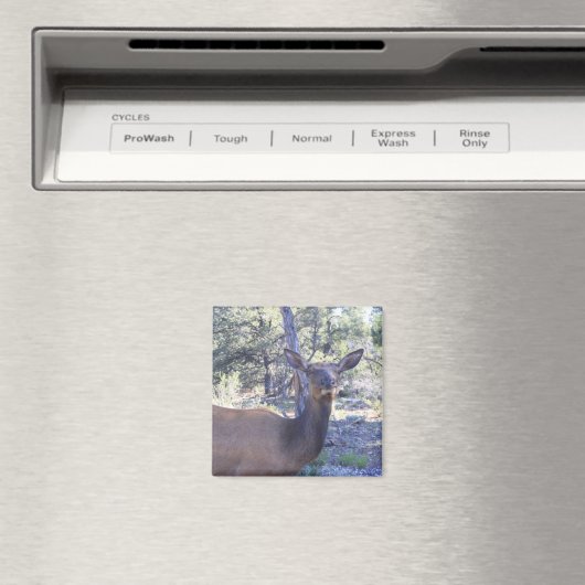 Moose Magnet (Insitu (Vaatwasser))