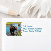 Moose Mailing Label (Insitu)