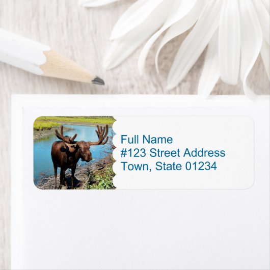 Moose Mailing Label (Insitu)