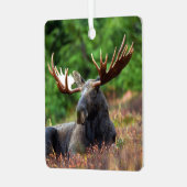 Moose Metalen Ornament (Voorkant links)