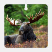 Moose Metalen Ornament (Voorkant)