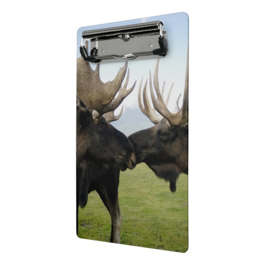 Moose Mini Klembord (Angled2)